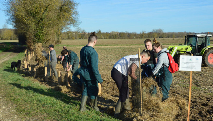 Chantier participatif : plantation de haies